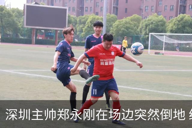 深圳主帅郑永刚在场边突然倒地 经救治后起身